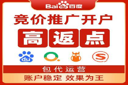 SEM广告投放案例：打造品牌影响力
